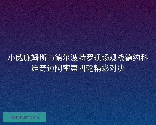 小威廉姆斯与德尔波特罗现场观战德约科维奇迈阿密第四轮精彩对决